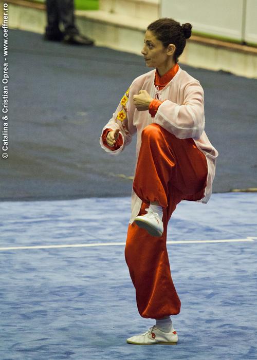 022-Wushu-Taolu-oeffner.jpg