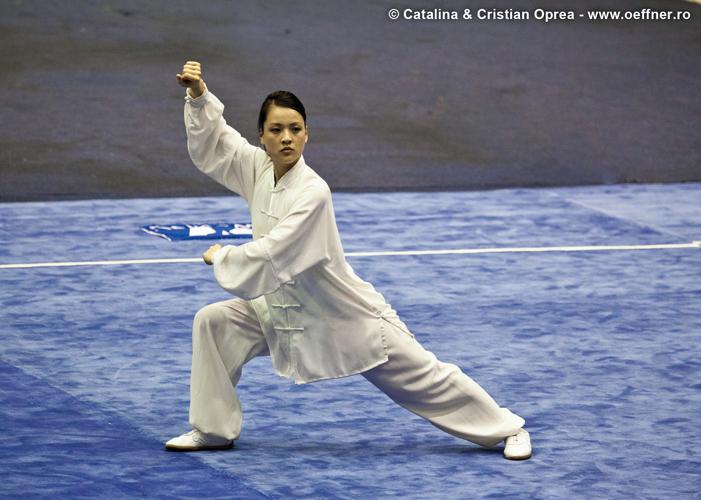 053-Wushu-Taolu-oeffner.jpg