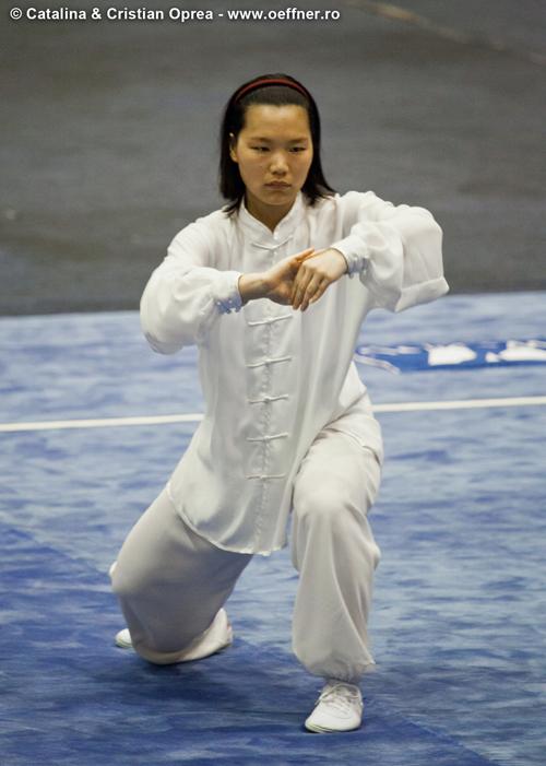 066-Wushu-Taolu-oeffner.jpg