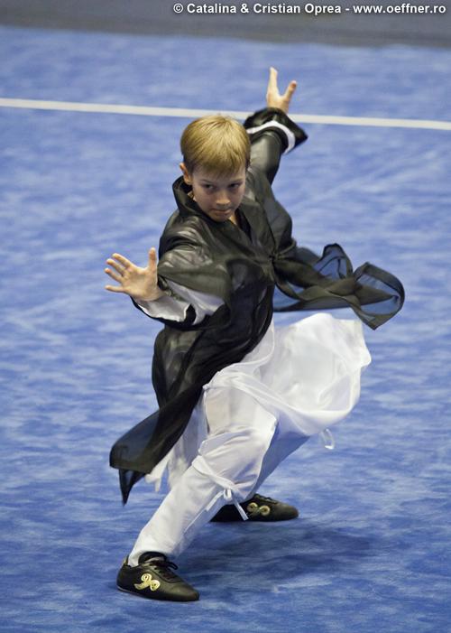 195-Wushu-Taolu-oeffner.jpg