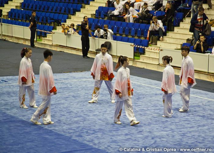 210-Wushu-Taolu-oeffner.jpg