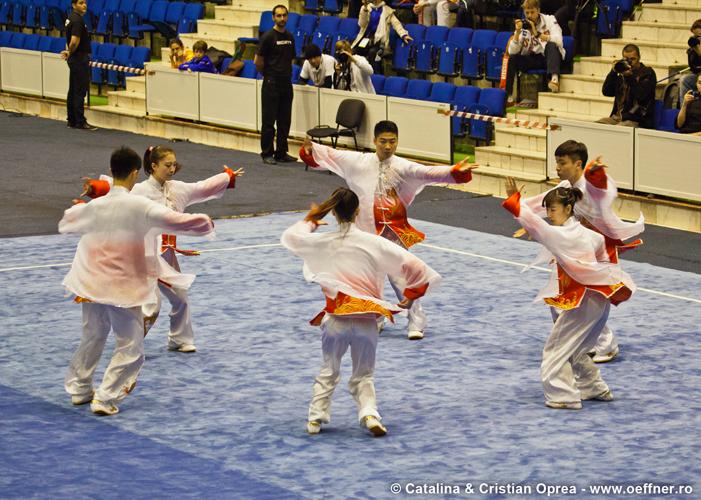 213-Wushu-Taolu-oeffner.jpg