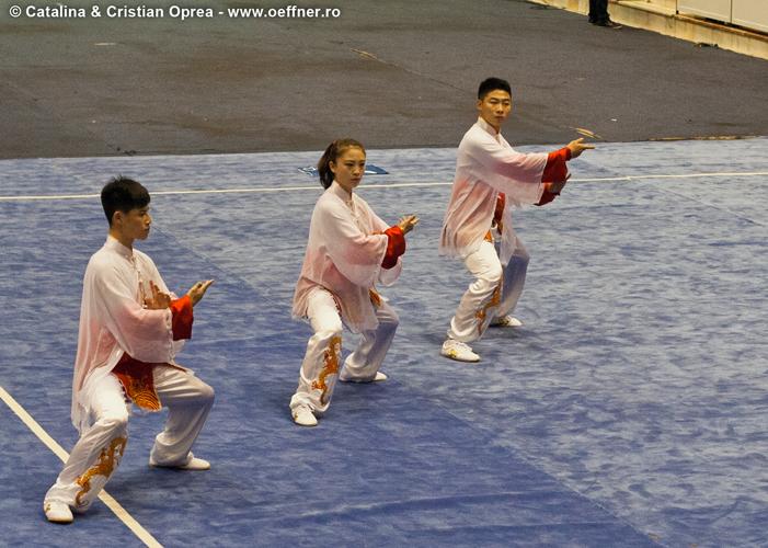 215-Wushu-Taolu-oeffner.jpg