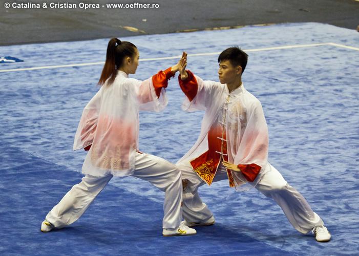 216-Wushu-Taolu-oeffner.jpg