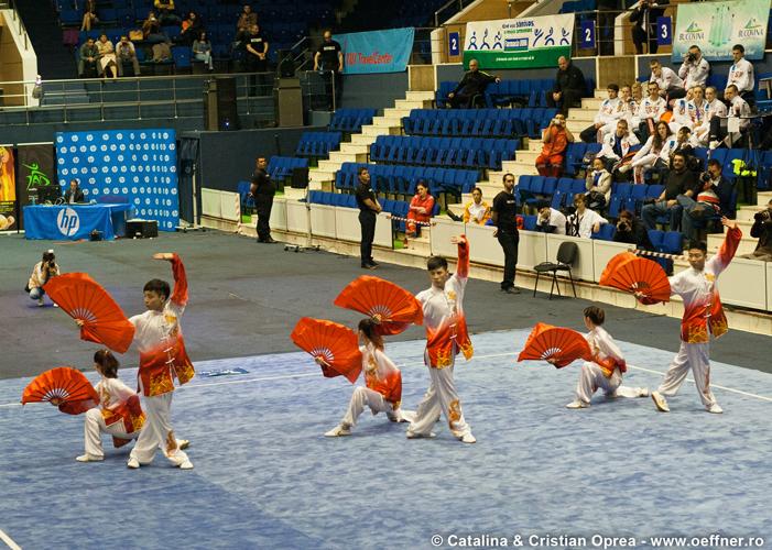 224-Wushu-Taolu-oeffner.jpg