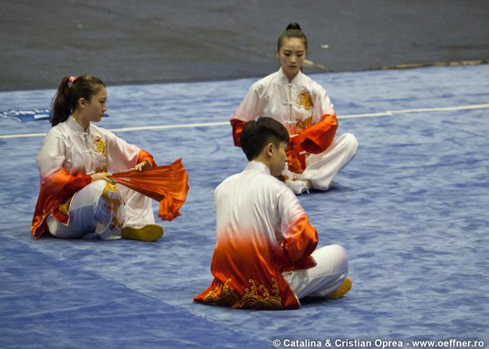 225-Wushu-Taolu-oeffner.jpg