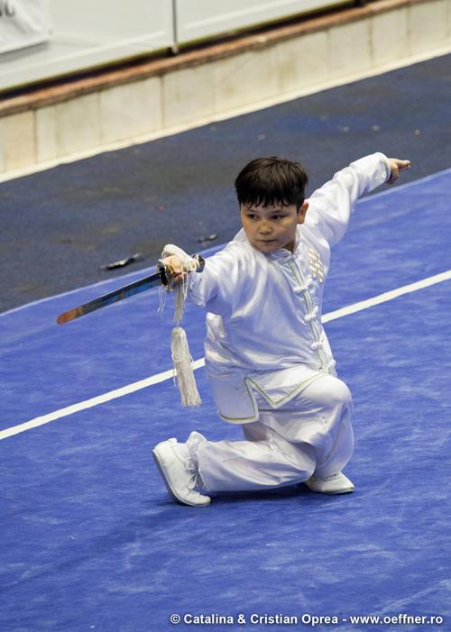 266-Wushu-Taolu-oeffner.jpg