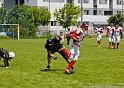 167-Fotbal-American-BW-vs-Predators-Cristian-Oprea