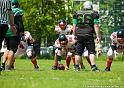 213-Fotbal-American-BW-vs-Predators-Cristian-Oprea