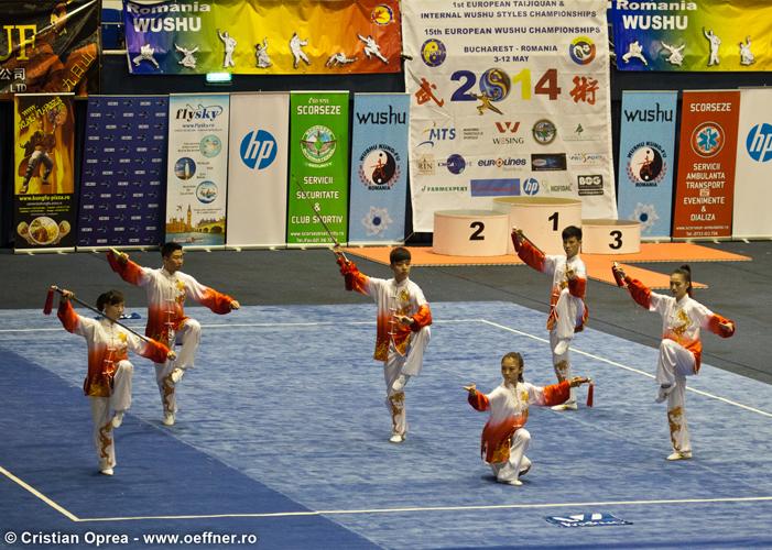 020-Wushu-Cristian-Oprea-Oeffner.jpg