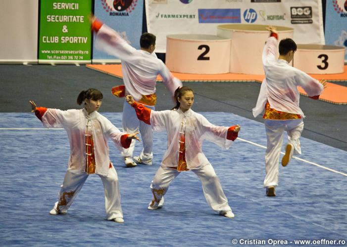 024-Wushu-Cristian-Oprea-Oeffner.jpg