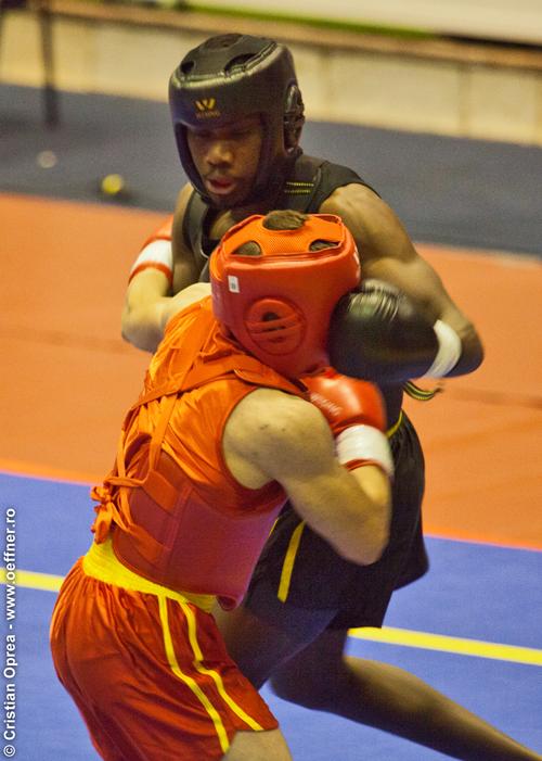 052-Wushu-Cristian-Oprea-Oeffner.jpg